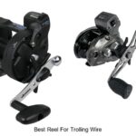 Top 15 Best Reel For Trolling Wire That Anglers Swear By