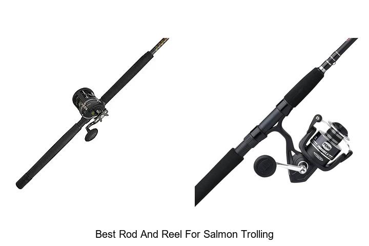 Top 15 Best Rod and Reel for Salmon Trolling You Need Now