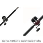Top 15 Best Rod And Reel For Spanish Mackerel Trolling Revealed!