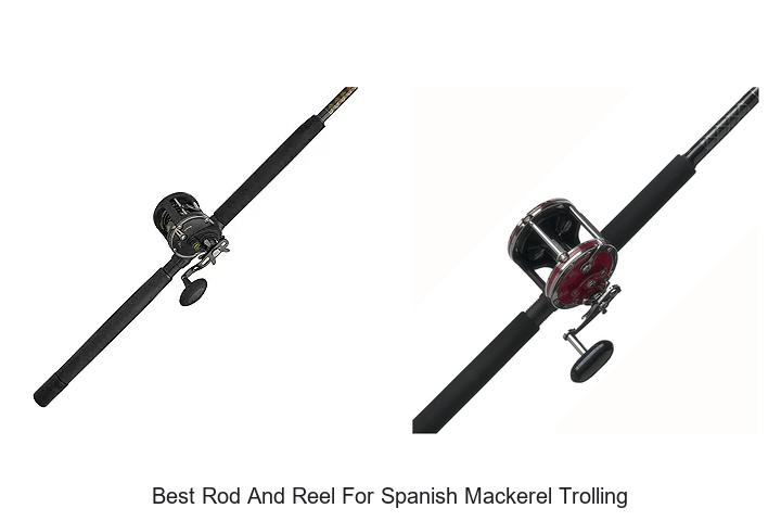 Top 15 Best Rod And Reel For Spanish Mackerel Trolling Revealed!