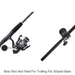 Top 15 Best Rod And Reel For Trolling For Striped Bass Now