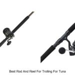 Top 15 Best Rod And Reel For Trolling For Tuna Secrets!