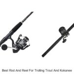 Top 15 Best Rod And Reel For Trolling Trout And Kokanee Guide