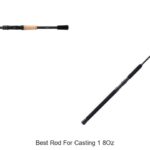 Top 15 Best Rod For Casting 1 8oz That Anglers Swear By