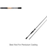 Top 15 Best Rod for Pendulum Casting You Can’t Miss!