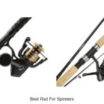 Top 15 Best Rod For Spinners That Will Boost Your Catch!