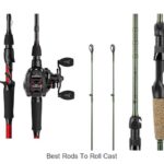 Top 15 Best Rods to Roll Cast That Will Shock You