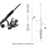 Top 15 Best Salmon Travel Rods You Can’t Miss Today!