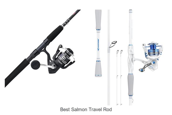 Top 15 Best Salmon Travel Rods You Can’t Miss Today!