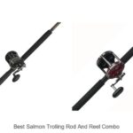 Top 15 Best Salmon Trolling Rod And Reel Combo Revealed!