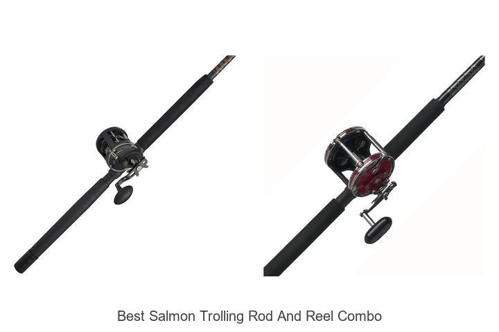Top 15 Best Salmon Trolling Rod And Reel Combo Revealed!