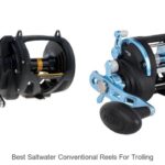Top 15 Best Saltwater Conventional Reels for Trolling Revealed!