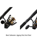 Top 15 Best Saltwater Jigging Rod and Reel for Big Catches