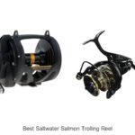 Top 15 Best Saltwater Salmon Trolling Reel You Need Now