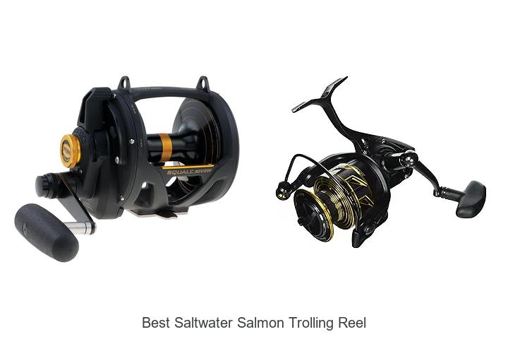 Top 15 Best Saltwater Salmon Trolling Reel You Need Now