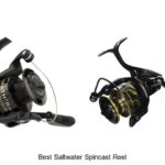 Top 15 Best Saltwater Spincast Reel That Will Wow You