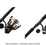 Top 15 Best Saltwater Telescopic Rod and Reel Reviewed!