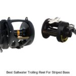 Top 15 Best Saltwater Trolling Reel for Striped Bass Secrets