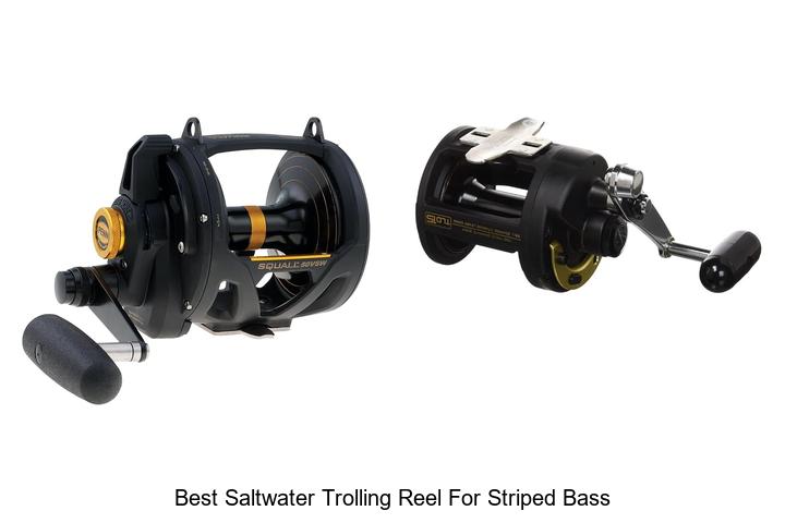Top 15 Best Saltwater Trolling Reel for Striped Bass Secrets