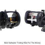 Top 15 Best Saltwater Trolling Reel For The Money Revealed
