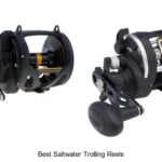Top 15 Best Saltwater Trolling Reels That Boost Catch Rates