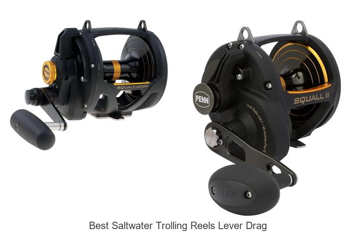 Top 15 Best Saltwater Trolling Reels Lever Drag You Need Now
