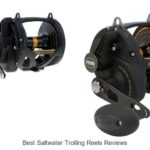 Top 15 Best Saltwater Trolling Reels Reviews You Need Now