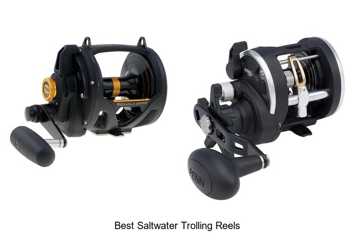 Top 15 Best Saltwater Trolling Reels That Boost Catch Rates