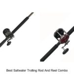 Top 15 Best Saltwater Trolling Rod and Reel Combo Revealed!
