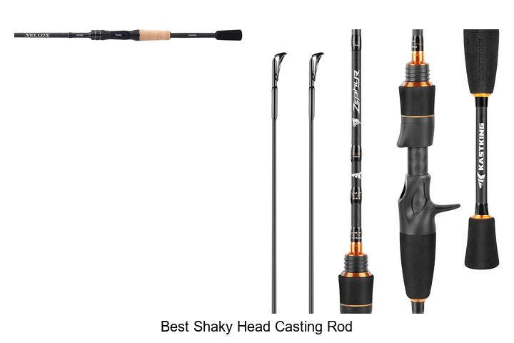 Top 15 Best Shaky Head Casting Rods You Can’t Miss!