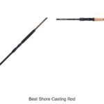 Top 15 Best Shore Casting Rods That Will Blow Your Mind