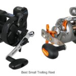 Top 15 Best Small Trolling Reel That Anglers Swear By