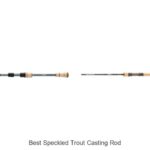 Top 15 Best Speckled Trout Casting Rods You Can’t Miss