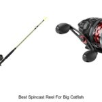 Top 15 Best Spincast Reel For Big Catfish That Crush Giants!