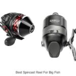 Top 15 Best Spincast Reel For Big Fish You Need Now