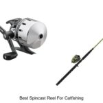Top 15 Best Spincast Reel For Catfishing You Can’t Miss!