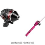 Top 15 Best Spincast Reel For Kids That Will Amaze You!