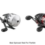 Top 15 Best Spincast Reel for Panfish That Anglers Love