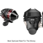 Top 15 Best Spincast Reel For The Money You Can’t Miss