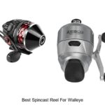 Top 15 Best Spincast Reel for Walleye That Catch More Fish!