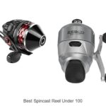 Top 15 Best Spincast Reel Under 100 That Anglers Love!