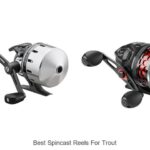 Top 15 Best Spincast Reels For Trout That Will Shock You