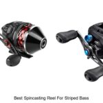 Top 15 Best Spincasting Reel for Striped Bass You Need Now