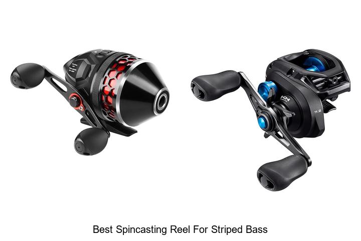 Top 15 Best Spincasting Reel for Striped Bass You Need Now
