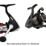 Top 15 Best Spincasting Reels For Steelhead You Need Now