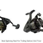 Top 15 Best Spinning Reel for Trolling Salmon and Trout Revealed!