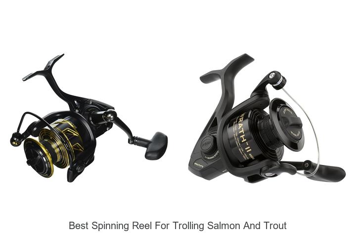 Top 15 Best Spinning Reel for Trolling Salmon and Trout Revealed!