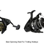 Top 15 Best Spinning Reel For Trolling Walleye Revealed!