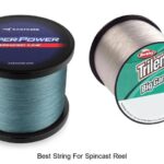 Top 15 Best String for Spincast Reel That Hooks Big Fish!