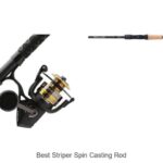 Top 15 Best Striper Spin Casting Rod That Will Boost Catches
